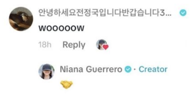 Image: Screengrab from Tiktok/@nianaguerrero